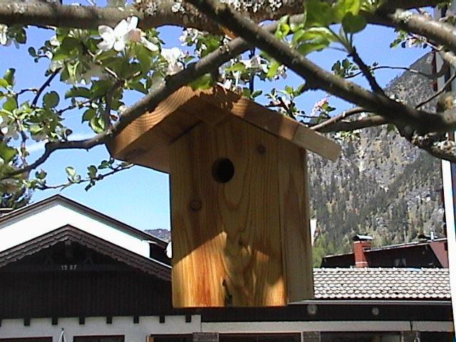 페르티사우 Haus Waldfriede 아파트 외부 사진